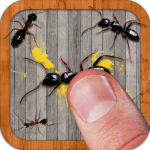 Download Ant Smasher by Best Cool & Fun Games 9.56 APK Apk