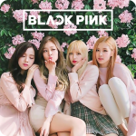 Download Blackpink Wallpaper HD 2019 1.2 Free Download APK,APP2019 Apk