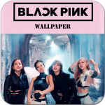 Download Blackpink Wallpaper K-POP 3.8 Free Download APK,APP2019