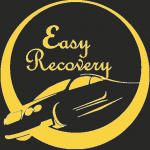 Download Easy Recovery 2.2 Free Download APK,APP2019 Apk