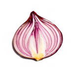 Download Onion Search Engine 1.5.7 Free Download APK,APP2019 Apk