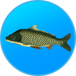 Download Free APK True Fishing. Fishing simulator 1.11.1.544 For Android 2019 Apk