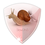 Download Free APK VPN Over DNS Tunnel : SlowDNS 2.6.0 For Android 2019 Apk