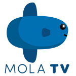 Free Download APK Mola TV (Beta) 0.4.7 For Android 2019 Apk