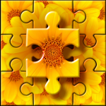 Jigsaw puzzles classic 2.8.8 APK For Android 2019