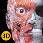 Download Anatomy 3D Atlas 2.0.4 APK For Android 2019 Apk