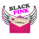 Download Black PinK Messenger Chat Call Prank 14 APK For Android 2019 Apk