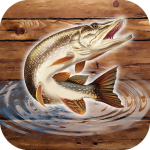 Download Fishing Rain - Fishing Online 0.0.4.1 APK For Android Apk