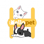 Download Hellopet - Cute cats, dogs and other unique pets 3.4.6 APK For Android Apk