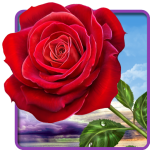 Download Rose. Magic Touch Flowers 2.3.2 APK For Android 2019 Apk