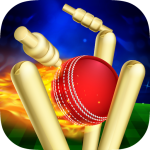 Download RunOut Master - Cricket World Cup 2019 1.56 APK For Android Apk