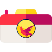 Phoenix Camera 4 Apk