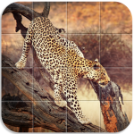 Download Animals Tile Puzzle 1.13 APK For Android Apk