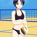 Download Beach volley 12 APK For Android Apk