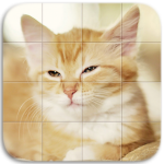 Download Cats Tile Puzzle 1.1 APK For Android Apk