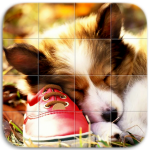 Download Dogs Tile Puzzle 1.15 APK For Android Apk