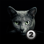 Download Find a cat 2. Free! 1.5 APK For Android Apk