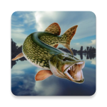 Download Fishing in Yerky 4.3.13 APK For Android Apk