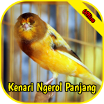 Download Kicau Kenari Gacor Ngerol Panjang 1.4 APK For Android Apk