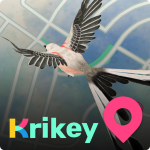 Download Krikey 2.6.1 APK For Android Apk