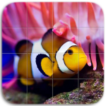 Download Marine Life Tile Puzzle 1.08 APK For Android Apk