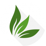 Download Phytolife 1.1.0 APK For Android Apk