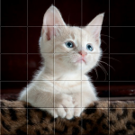 Picture Puzzle Free Game For Android 2.2 APK For Android