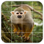 Download Tile Puzzles · Monkeys 1.40.mk APK For Android Apk