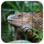 Download Tile Puzzles · Reptiles 1.40.re APK For Android Apk