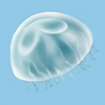 Download jellyfish 1.5 APK For Android Apk