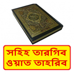 Download সহিহ তারগিব ওয়াত তাহরিব হাদিস শরীফ ~ Al Hadis 1.0 APK For Android