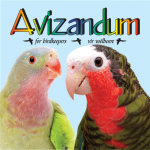 Download Avizandum 6.0.11 APK For Android Apk