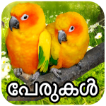 Download പക്ഷികളുടെ പേരുകൾ Birds Names Detail Malayalam App 1.0.2 APK For Android Apk