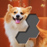 Block Hexa Jigsaw Puzzle 1.1.3 APK For Android