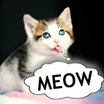 Download Cat translator. Cat sounds. Meow joke 1.4 APK For Android Apk