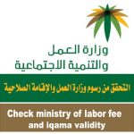 Download Check Ministry of Labor fees and Iqamah Expiry 1.0 APK For Android Apk