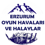 Download Erzurum Oyun Havaları (internetsiz) 1.10 APK For Android Apk