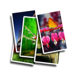 Download Free Wallpaper 1.3.1 APK For Android Apk