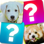 Memory Game: Animals 4.0 APK For Android