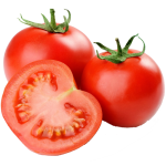 Download Pests and Diseases of Tomato 2.7 APK For Android Apk