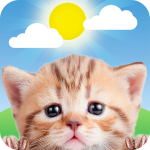 Download Weather Kitty - Forecast, Radar & Cat Pictures 5.0.0 APK For Android Apk