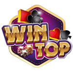 Download Win Top 1.0.3 APK For Android Apk