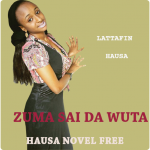 Download Zuma Sai Da Wuta - Hausa Novel 5.3 APK For Android Apk