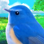 Download 鳥マスター！ 3.0.1 APK For Android Apk