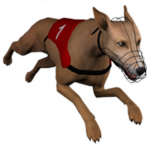 Download Dog Racing GHmanager 2.3.1 APK For Android Apk