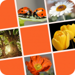 Download Facedoku - Sudoku with Pictures and Images 1.55 APK For Android Apk