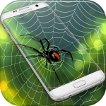 Download Spider Web Out 1.0.2 APK For Android Apk