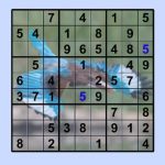 Download Sudoku Nature 0.93 APK For Android Apk