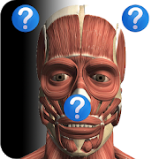 Anatomy Quiz Free 2.1 Apk