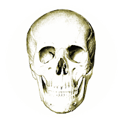 Anatomy Quiz 4.6.1 Apk